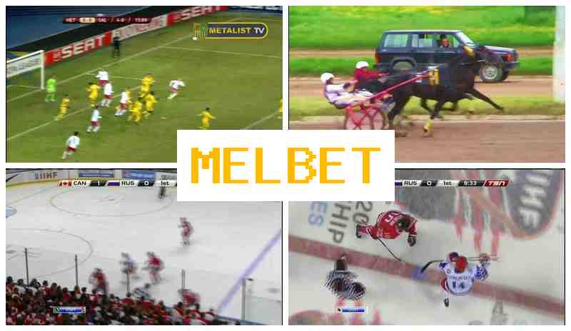 M4L BET 🏆 Bet on Sporting Events, Promotions and Bonuses, Official Website M4L BET 🏆 Bet on Sporting Events, Promotions and Bonuses, Official Website