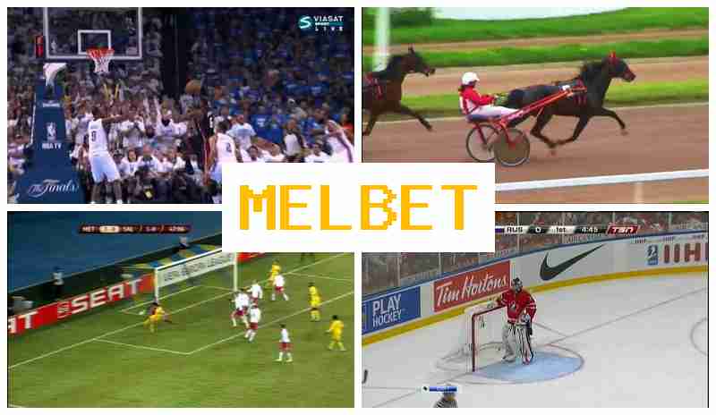 MSL BET 🎾 Betting Platform, Deposit Bonus, Official Page of the Betting Firm MSL BET 🎾 Betting Platform, Deposit Bonus, Official Page of the Betting Firm