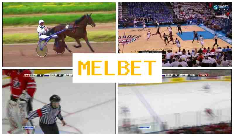 MEL VET 🆓 Wager on Sporting Events, First Deposit Bonus, Verified Platform of the Betting Company MEL VET 🆓 Wager on Sporting Events, First Deposit Bonus, Verified Platform of the Betting Company