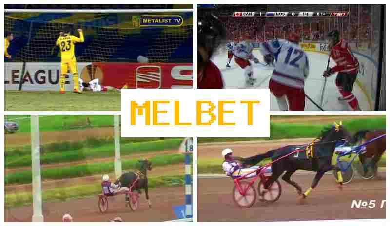 MEL BDT ⚾ Bookmaker Platform, Online MEL BDT ⚾ Bookmaker Platform, Online