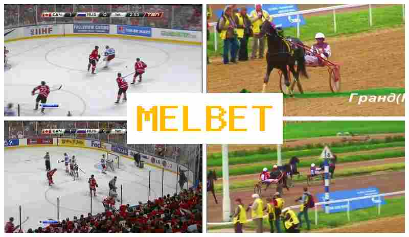 MWLBET ▒ Bookmaker Online, New Player Bonus, Live Sports Betting MWLBET ▒ Bookmaker Online, New Player Bonus, Live Sports Betting