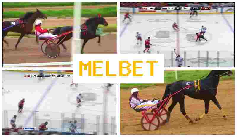 M3LBET ๐ฒ Bookmaker Company M3LBET ๐ฒ Bookmaker Company