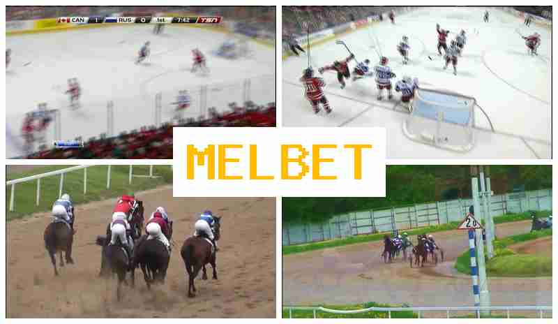 ELBET π Online Sports Bets, Free Bets and Bonuses, Official Bookmaker Platform ELBET π Online Sports Bets, Free Bets and Bonuses, Official Bookmaker Platform
