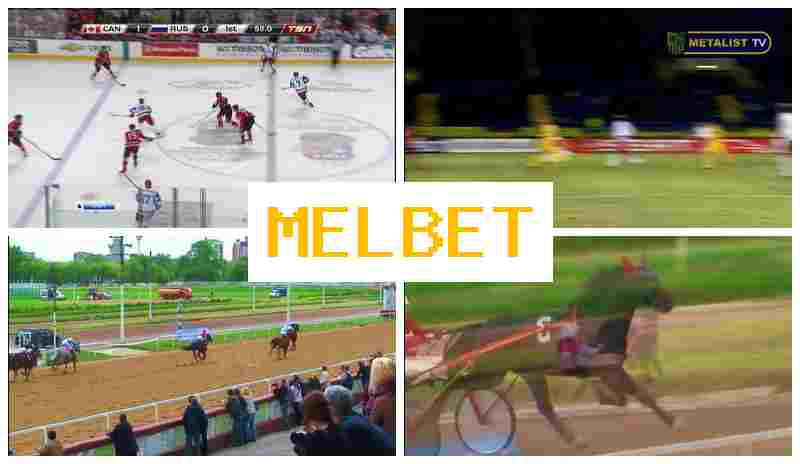EL BET ☑️ Online Sports Bets, Special Offers and Rewards, Official Bookmaker Platform