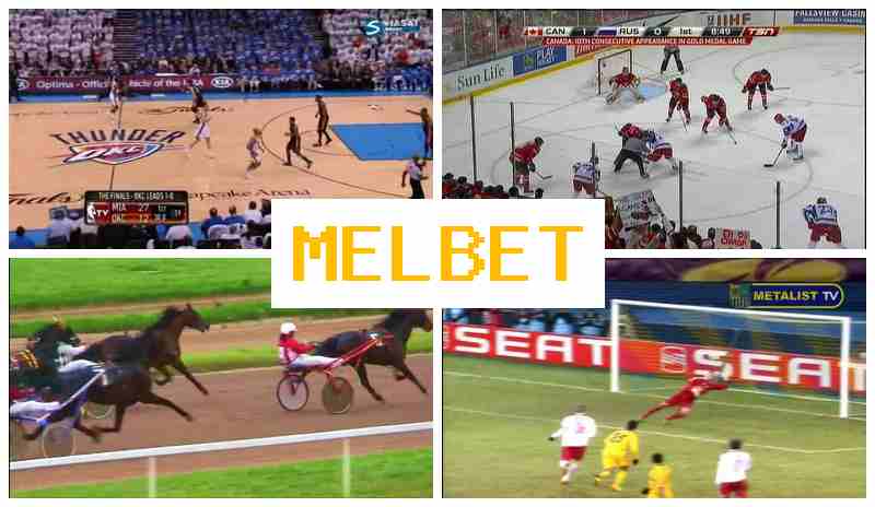 ML BET ๐ Bookmaker Online ML BET ๐ Bookmaker Online