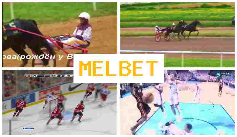 MRL BET ๐ Online Bookmaker, Sign In, Join Now, Sports Betting MRL BET ๐ Online Bookmaker, Sign In, Join Now, Sports Betting