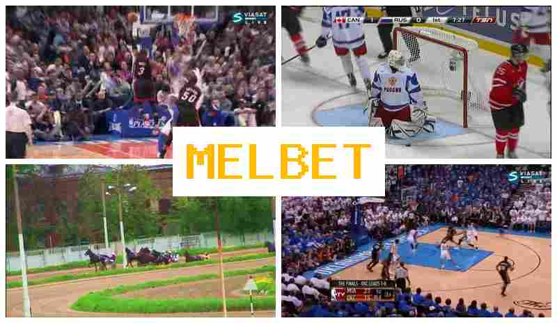 MEL VET ๐ถ Betting on Sports, First Deposit Bonus, Official Website of the Betting Company MEL VET ๐ถ Betting on Sports, First Deposit Bonus, Official Website of the Betting Company