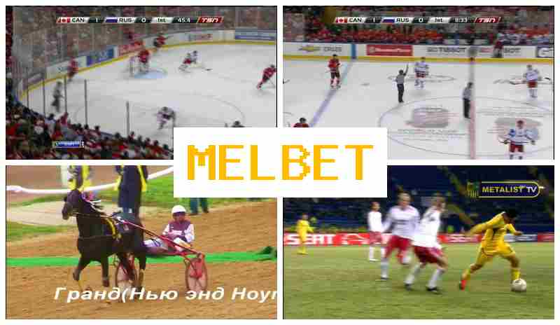 MELB3T 💵 Bookmaker Platform MELB3T 💵 Bookmaker Platform