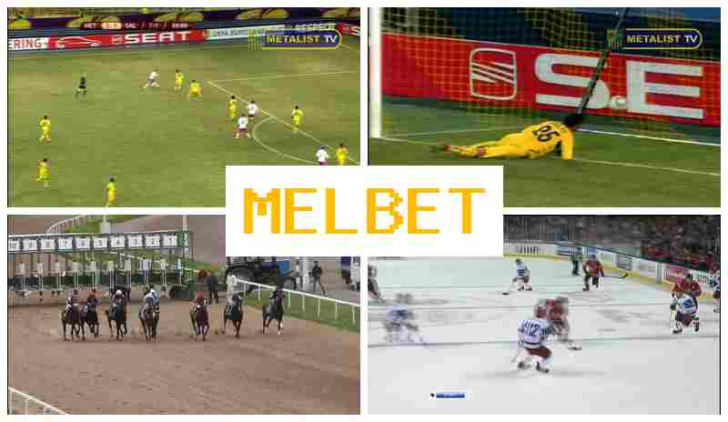 EL BET ✔️ Betting on Sports Events, Special Offers and Rewards, Official Bookmaker Platform EL BET ✔️ Betting on Sports Events, Special Offers and Rewards, Official Bookmaker Platform