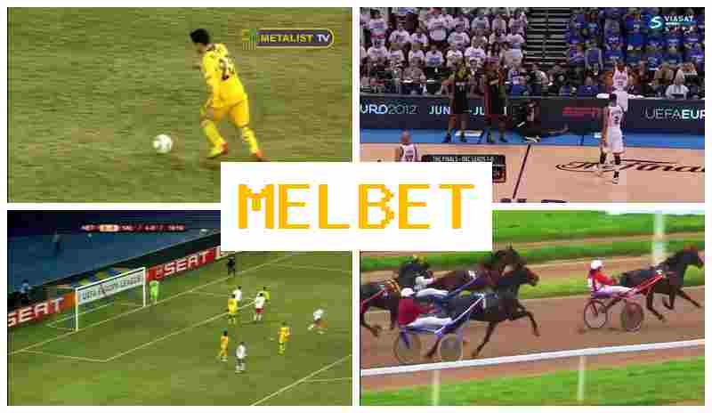 MEL BTE ⚾ Bookmaker Platform, Online