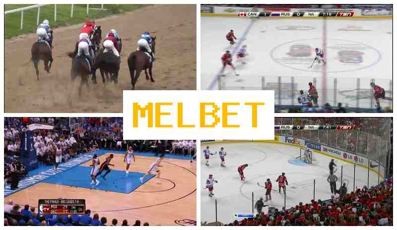 JEL BET 💵 Wager on Sports Events, First Deposit Bonus, Official Page of the Bookmaker JEL BET 💵 Wager on Sports Events, First Deposit Bonus, Official Page of the Bookmaker