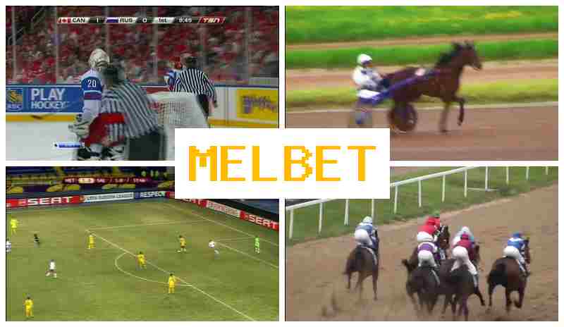 M3L BET 🔔 Virtual Bookmaker, New User Bonus, Bet on Sports M3L BET 🔔 Virtual Bookmaker, New User Bonus, Bet on Sports