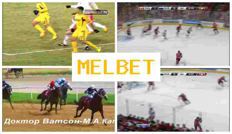 JELBET 💲 Bookmaker Company JELBET 💲 Bookmaker Company