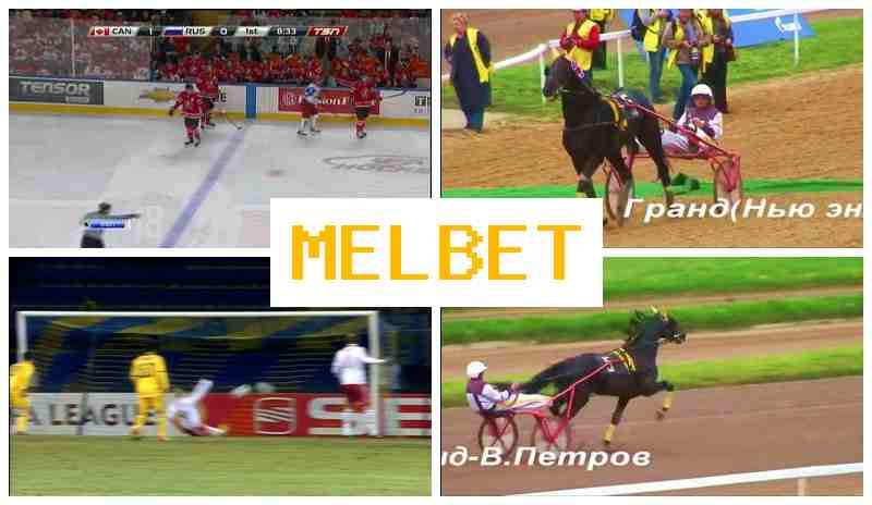 ELBET 🔵 Verified Sportsbook, Official Website, Special Offers and Rewards, Sign Up ELBET 🔵 Verified Sportsbook, Official Website, Special Offers and Rewards, Sign Up