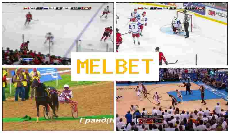 NEL BET 🔵 Trusted Betting Company, Official Website, Free Bets and Bonuses, Sign Up NEL BET 🔵 Trusted Betting Company, Official Website, Free Bets and Bonuses, Sign Up