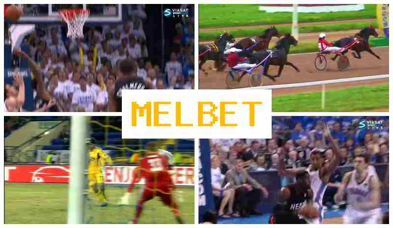 MWL BET 🔔 Betting Company, Introductory Bonus MWL BET 🔔 Betting Company, Introductory Bonus
