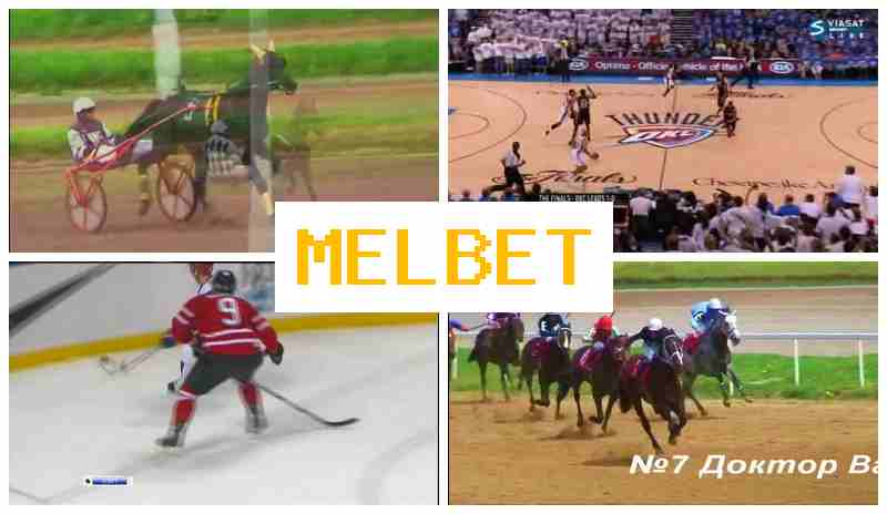 MEK BET 💯 Live Sports Bets, Online with Best Odds MEK BET 💯 Live Sports Bets, Online with Best Odds