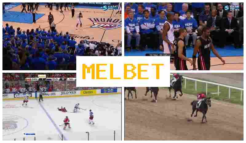 MSLBET 💲 Top Betting Platform, Register, Login, Sports Events Betting MSLBET 💲 Top Betting Platform, Register, Login, Sports Events Betting