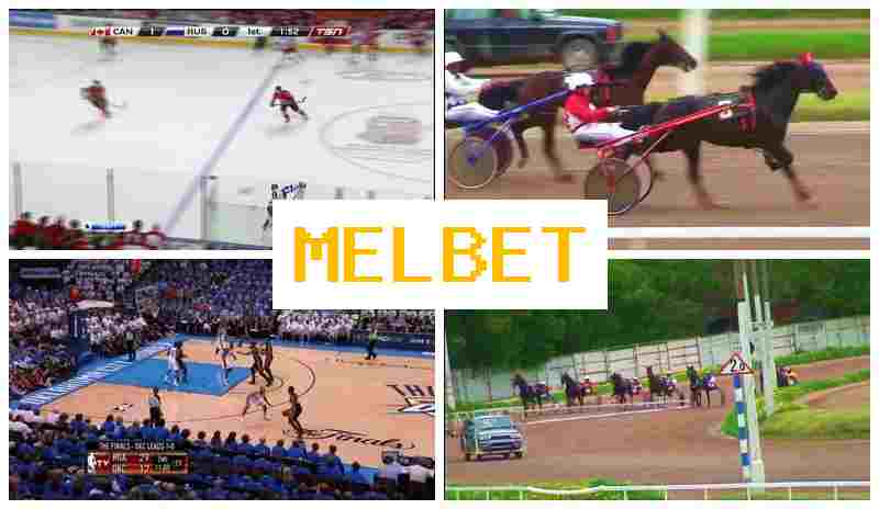 ML BET 💵 Live Sports Betting, Special Offers and Rewards, Official Bookmaker Platform