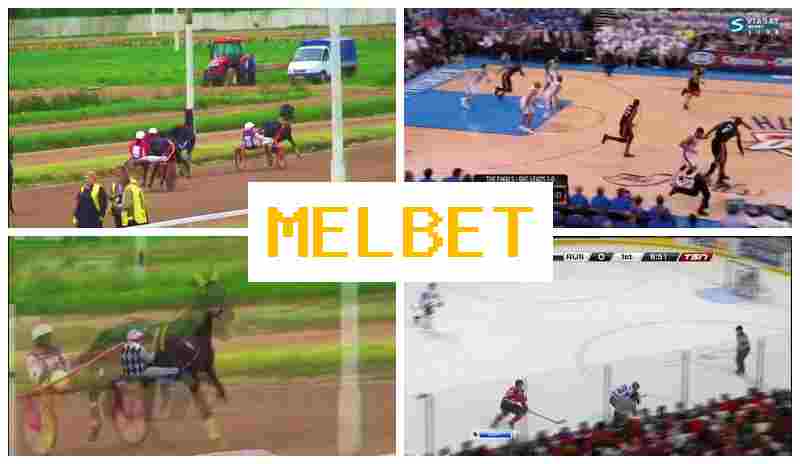 EML BET 💶 Online Bookmaker, Official Site, Promotions and Bonuses, Registration EML BET 💶 Online Bookmaker, Official Site, Promotions and Bonuses, Registration