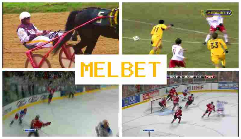 MEL BRT 💯 Bookmaker Office, New Player Bonus MEL BRT 💯 Bookmaker Office, New Player Bonus