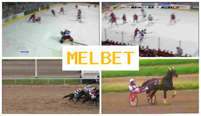 MEL BEY ⚽ Online Betting Platform Online, Register, Access Official Site, Wager Online