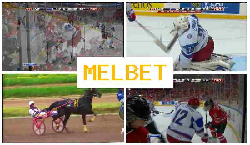 MEOBET 💸 Official Sportsbook Platform, Bet on Sports, Special Offers and Rewards
