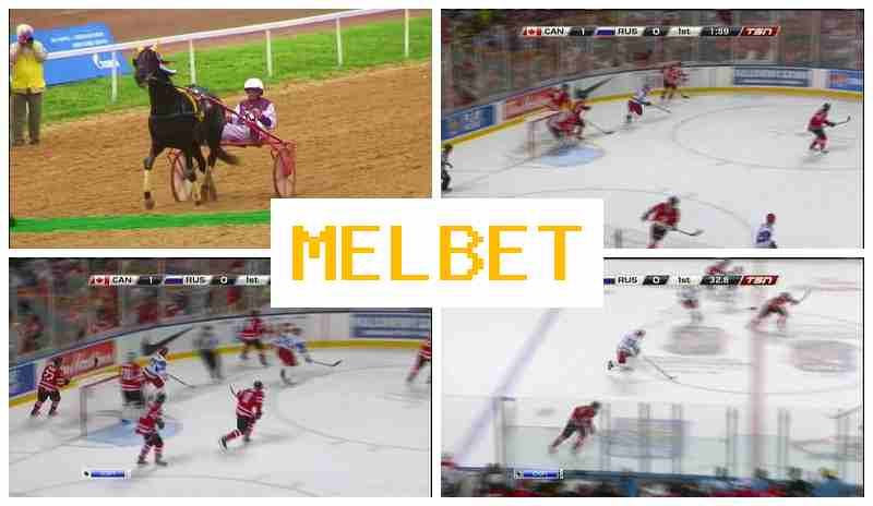 MELGET 🆗 Authorized Betting Site, Bet on Sporting Events, Promotions and Special Offers