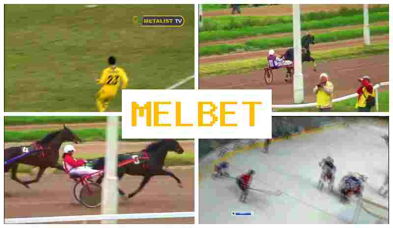 EL BET 💵 Trusted Betting Company, Official Website, Special Offers and Rewards, Sign Up