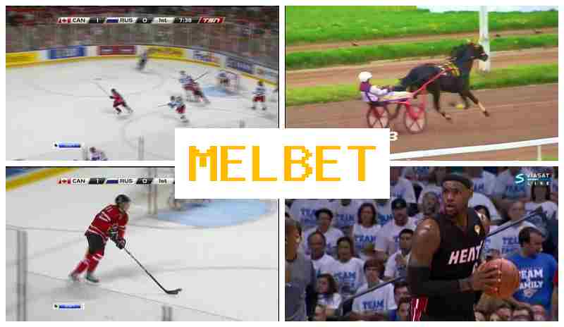 NEL BET 🎇 Bookmaker Platform, Online, Free Bets, Sports Wagering