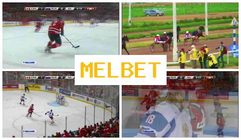 M3L BET 💰 Sportsbook Company, Official Site, Promotions and Bonuses, Registration