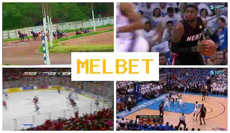 M4L BET ▓ Betting Firm, Online, Official Website