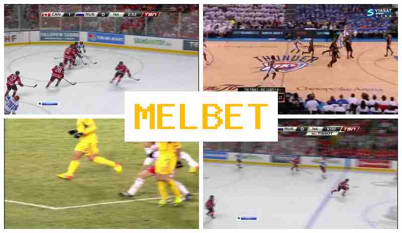MDL BET ✔️ Online Bookmaker, Official Bookmaker Website