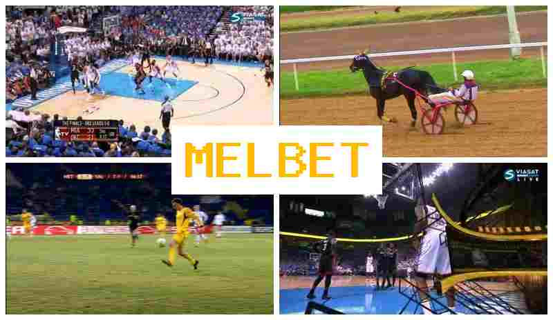 NELBET 🆗 Online Bookmaker