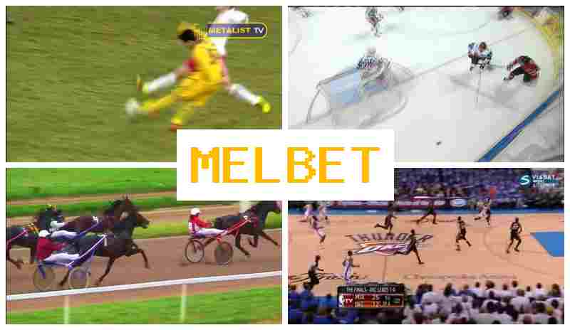 JELBET 👍 Bet on Sporting Events, Bonuses and Free Bets JELBET 👍 Bet on Sporting Events, Bonuses and Free Bets