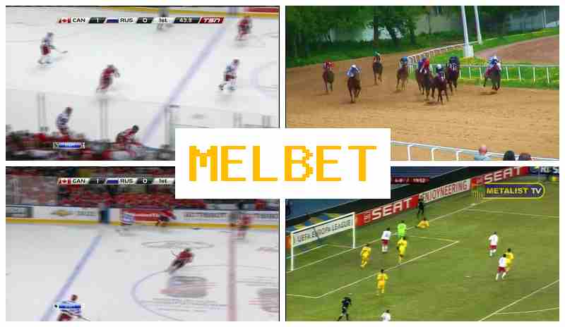 MEOBET 🔶 Virtual Bookmaker, Sign-Up Bonus