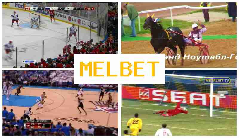 MELVET 🎇 Official Bookmaker, Create Account, Access Official Site, Wager Online