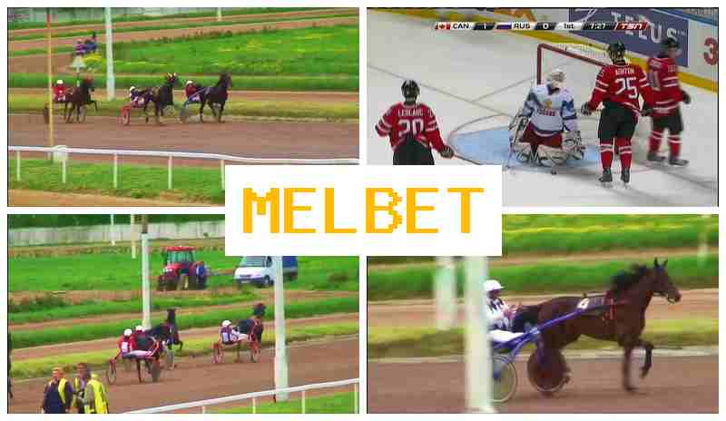 MELB3T 💲 Online Bookmaker, Official Site MELB3T 💲 Online Bookmaker, Official Site