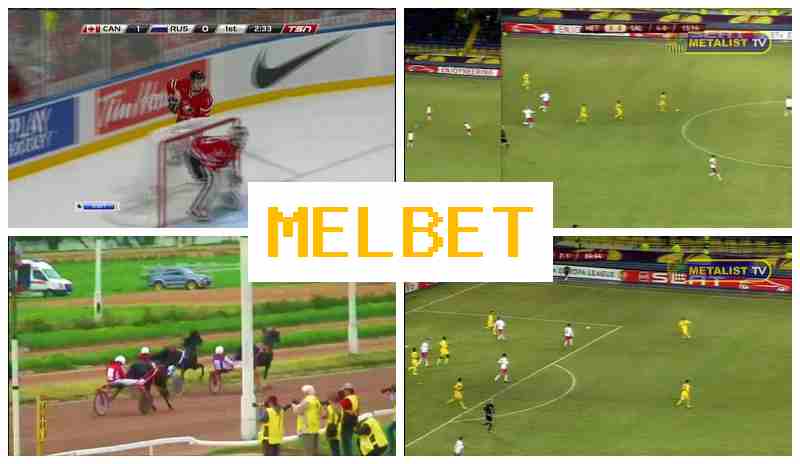 MELB4T 👍 Bookmaker Company, Welcome Free Bet, Official Bookmaker Website
