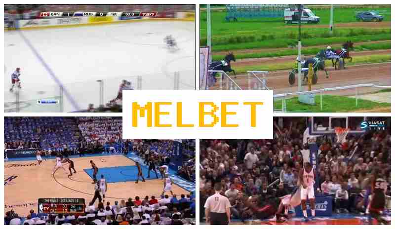 MELBEF ☑️ Bookmaker Company