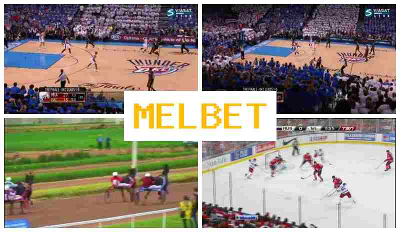 ML BET 👍 Live Sports Bets, Deposit Bonus ML BET 👍 Live Sports Bets, Deposit Bonus