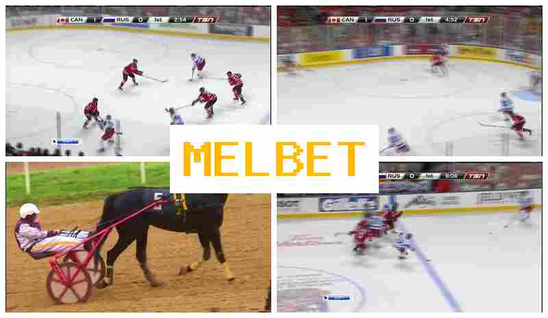 MLE BET 🏀 Trusted Sportsbook Online, Wager on Sports Live MLE BET 🏀 Trusted Sportsbook Online, Wager on Sports Live