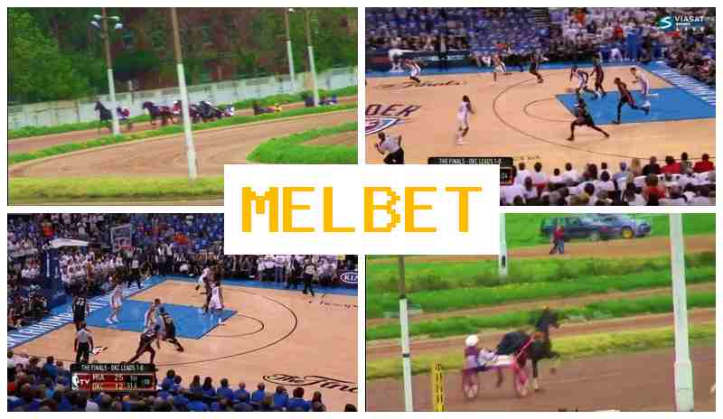 NEL BET 🆗 Online Sportsbook, Online, Free Play Rewards