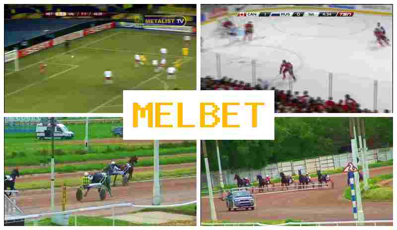 M4L BET ☘ Wager on Sporting Events, Virtual, Special Offers and Rewards, Official Website