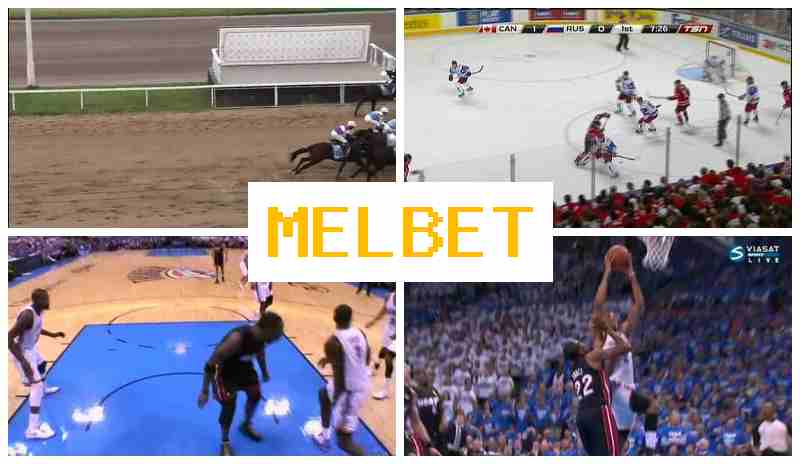 M3LBET 👍 Bookmaker Company