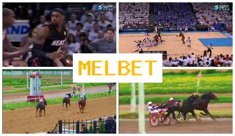 MSLBET 👍 Betting Firm, Official Site of the Bookmaker MSLBET 👍 Betting Firm, Official Site of the Bookmaker