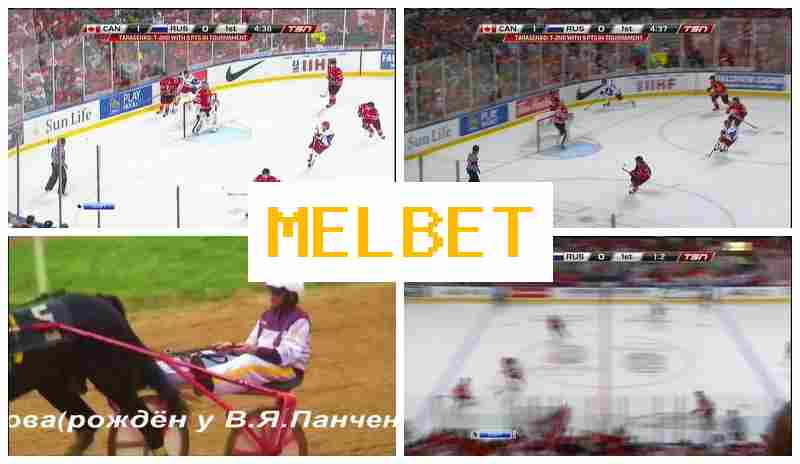 ML BET 💷 Top Betting Platform, Create Account, Access Official Site