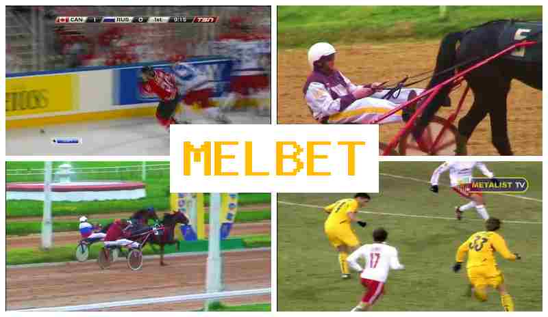 MEL EBT 💯 Sportsbook Bets offering Competitive Betting Odds MEL EBT 💯 Sportsbook Bets offering Competitive Betting Odds