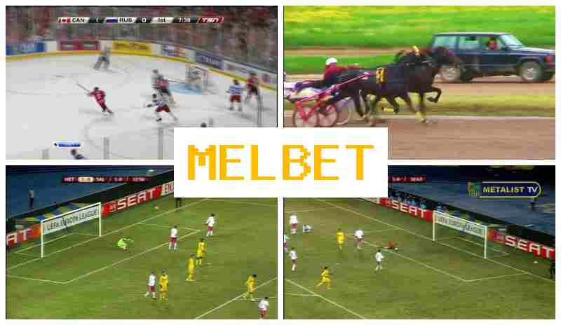 MSL BET 🏆 Sports Betting MSL BET 🏆 Sports Betting