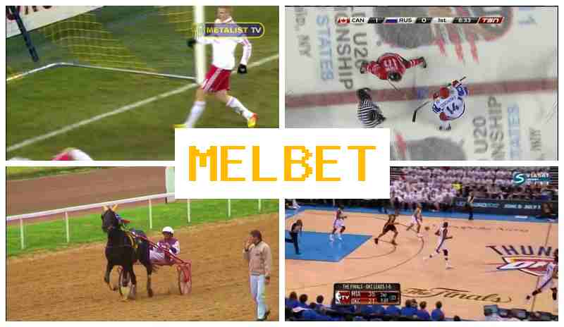 MEL VET 💸 Wager on Sporting Events MEL VET 💸 Wager on Sporting Events
